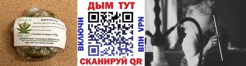 Cannafood конопля  купить   Судак 